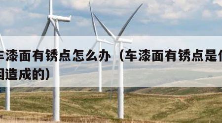 汽车漆面有锈点怎么办（车漆面有锈点是什么原因造成的）