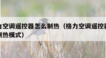 格力空调遥控器怎么制热（格力空调遥控器怎么制热模式）