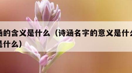 诗涵的含义是什么（诗涵名字的意义是什么意思是什么）
