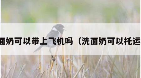 洗面奶可以带上飞机吗（洗面奶可以托运吗）