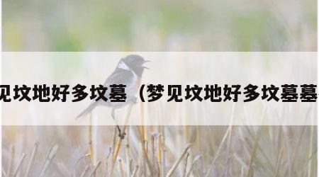 梦见坟地好多坟墓（梦见坟地好多坟墓墓碑）