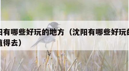 沈阳有哪些好玩的地方（沈阳有哪些好玩的地方值得去）