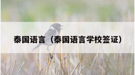 泰国语言（泰国语言学校签证）