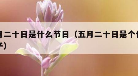 五月二十日是什么节日（五月二十日是个什么日子）