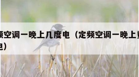 定频空调一晚上几度电（定频空调一晚上费多少电）