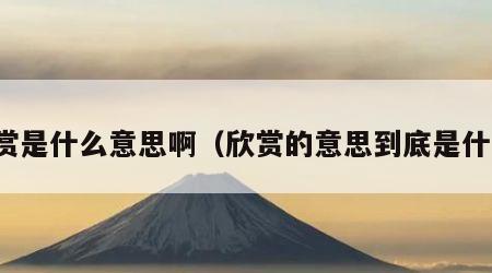 欣赏是什么意思啊（欣赏的意思到底是什么）