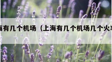 上海有几个机场（上海有几个机场几个火车站）