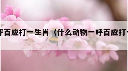 一呼百应打一生肖（什么动物一呼百应打一生肖）