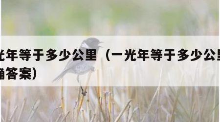 一光年等于多少公里（一光年等于多少公里求正确答案）