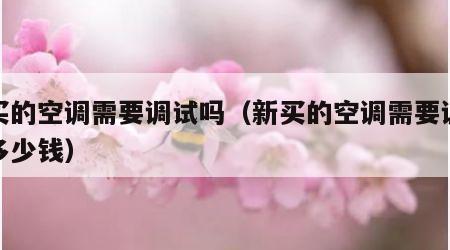 新买的空调需要调试吗（新买的空调需要调试吗多少钱）