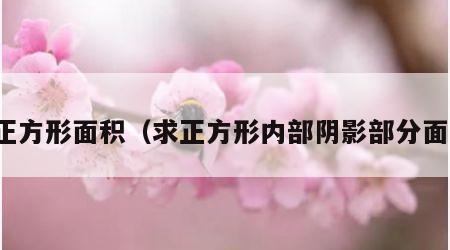 求正方形面积（求正方形内部阴影部分面积）