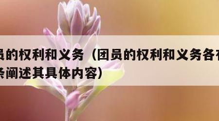 团员的权利和义务（团员的权利和义务各有多少条阐述其具体内容）