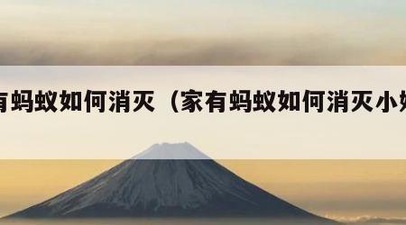 家有蚂蚁如何消灭（家有蚂蚁如何消灭小妙招）