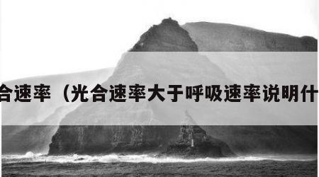 光合速率（光合速率大于呼吸速率说明什么）