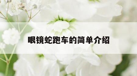 眼镜蛇跑车的简单介绍