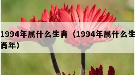 1994年属什么生肖（1994年属什么生肖年）
