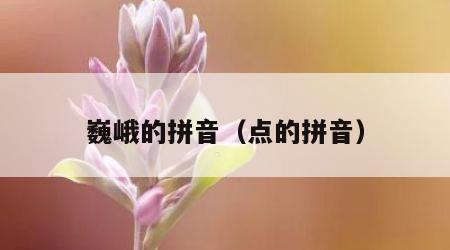 巍峨的拼音（点的拼音）