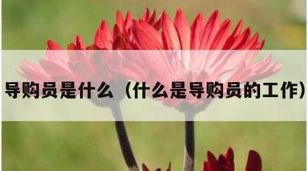 导购员是什么（什么是导购员的工作）