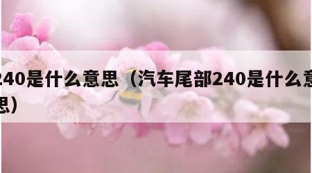 240是什么意思（汽车尾部240是什么意思）
