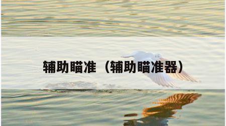 辅助瞄准（辅助瞄准器）