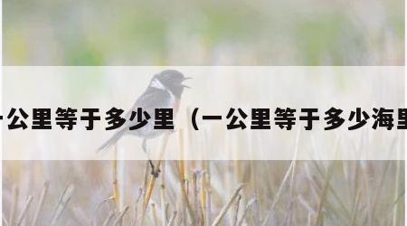 一公里等于多少里（一公里等于多少海里）