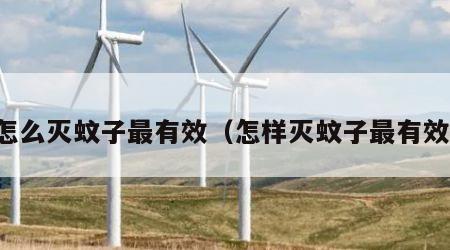 怎么灭蚊子最有效（怎样灭蚊子最有效）