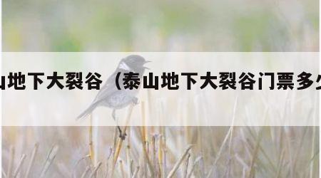 泰山地下大裂谷（泰山地下大裂谷门票多少钱）