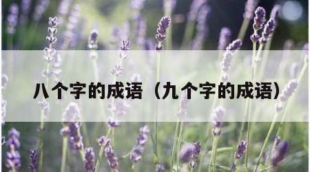 八个字的成语（九个字的成语）