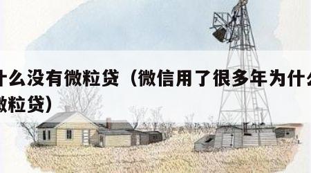 为什么没有微粒贷（微信用了很多年为什么没有微粒贷）