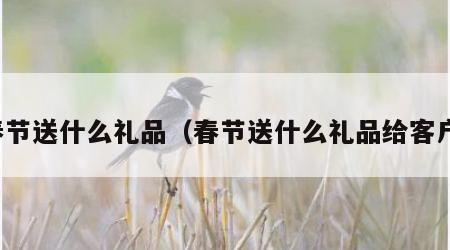 春节送什么礼品（春节送什么礼品给客户）