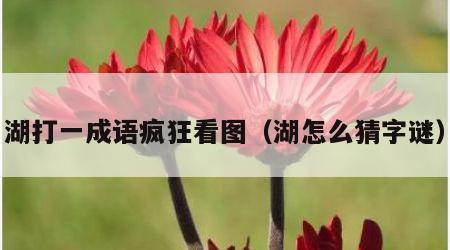 湖打一成语疯狂看图（湖怎么猜字谜）