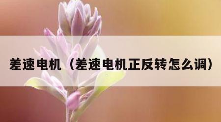 差速电机（差速电机正反转怎么调）