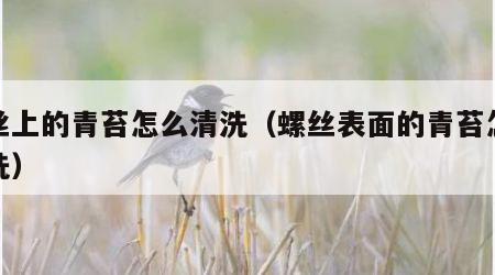 螺丝上的青苔怎么清洗（螺丝表面的青苔怎么清洗）