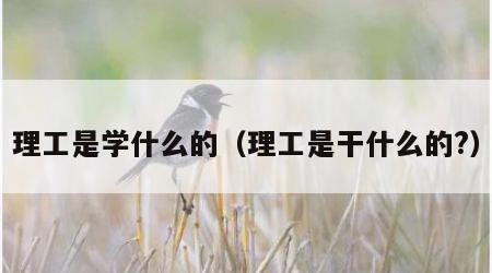 理工是学什么的（理工是干什么的?）