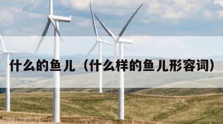 什么的鱼儿（什么样的鱼儿形容词）