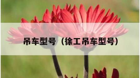 吊车型号（徐工吊车型号）