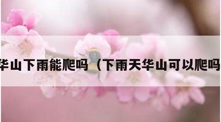 华山下雨能爬吗（下雨天华山可以爬吗）