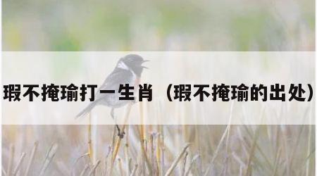 瑕不掩瑜打一生肖（瑕不掩瑜的出处）