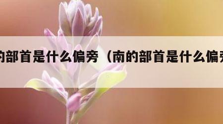 南的部首是什么偏旁（南的部首是什么偏旁部首）