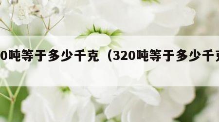 20吨等于多少千克（320吨等于多少千克）