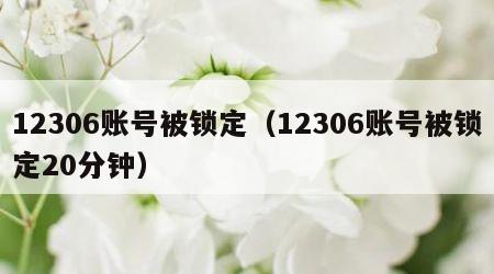 12306账号被锁定（12306账号被锁定20分钟）