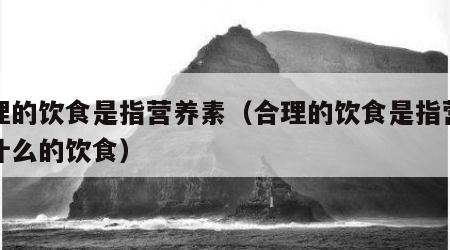 合理的饮食是指营养素（合理的饮食是指营养素什么的饮食）