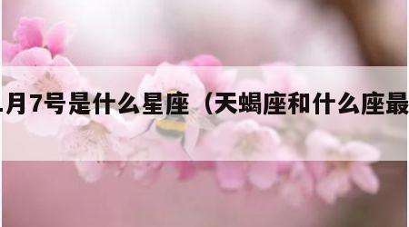 11月7号是什么星座（天蝎座和什么座最配）