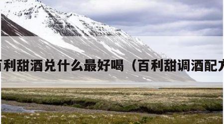 百利甜酒兑什么最好喝（百利甜调酒配方）