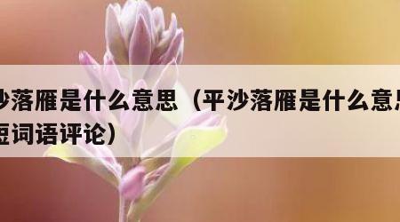 平沙落雁是什么意思（平沙落雁是什么意思用简短词语评论）