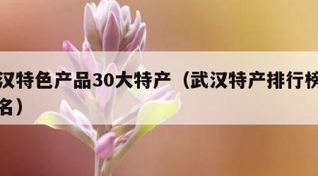 武汉特色产品30大特产（武汉特产排行榜前十名）