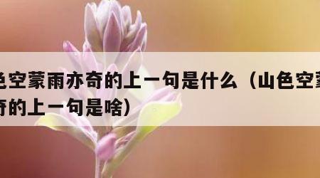 山色空蒙雨亦奇的上一句是什么（山色空蒙雨亦奇的上一句是啥）
