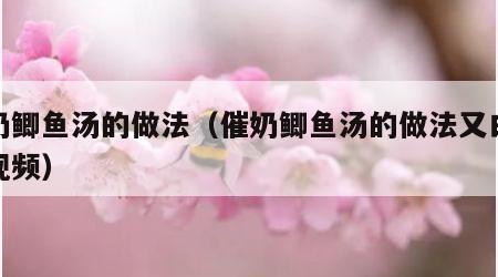 催奶鲫鱼汤的做法（催奶鲫鱼汤的做法又白又浓视频）