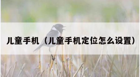 儿童手机（儿童手机定位怎么设置）