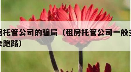 租房托管公司的骗局（租房托管公司一般多久后会跑路）